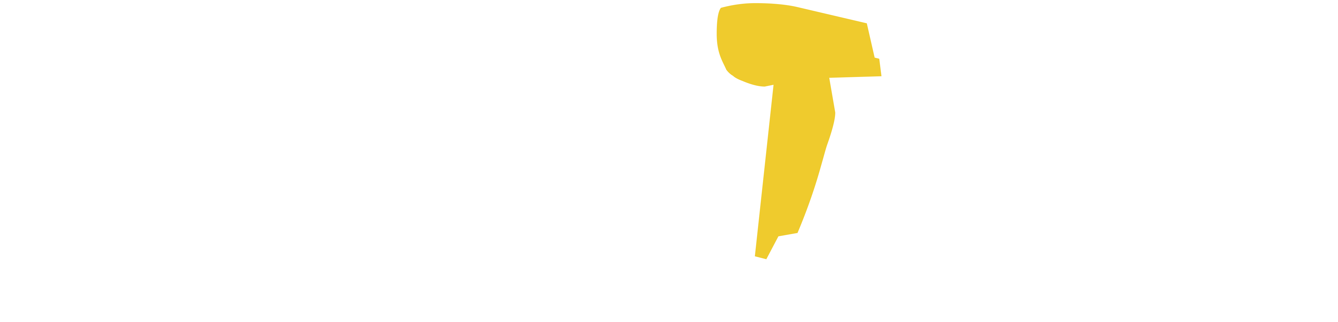 Support Marketeam Options Products